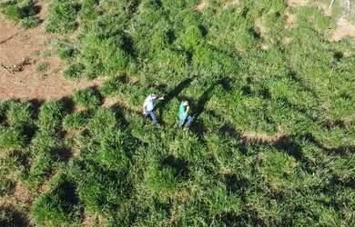 Imagem 3: Chácara 2 Hectares Chacara De 20.000M2, São 20.000M2!. KKV184