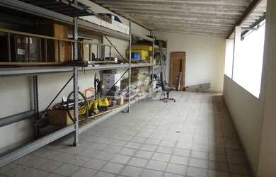 Imagem 7: São Paulo - Casa Padrão - Ipiranga