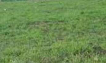 Imagem 7: Lote/Terreno para venda com 312 metros quadrados