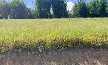 Imagem 7: Liberado para construção