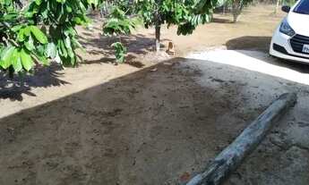 Imagem 5: Terreno frutífero em condomínio