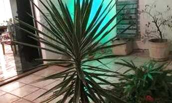 Imagem 3: Sobrado maravilhoso