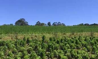 Imagem 4: Viva o encanto de Ibiúna: Terrenos com localização privilegiada para o seu novo começo