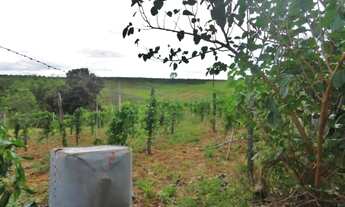 Imagem 3: Moji Mirim - Sítio - Moji Mirim (Todos os setores