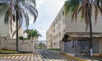 Imagem 3: Apartamento - Jardim Indianópolis - Campinas