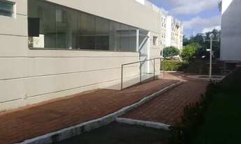 Imagem 3: Apartamento para aluguel tem 60 metros quadrados com 3 quartos em Iputinga - Recife - PE