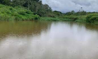 Imagem 5: FAZENDA DE CAFE ESPECIAL COM 390 HECTARES, COM 1.000M DE ALTITUDE!!