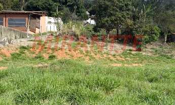 Imagem 4: Terreno em Jundiaizinho (Terra Preta