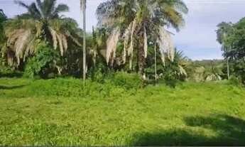 Imagem 4: Chácara à Venda em Iporá-GO 5 Alqueires de Terra de Cultura com Represa