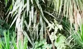 Imagem 5: Casa próximo a Vila Cruzeiro