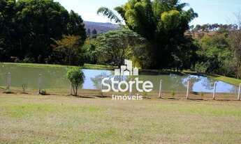 Imagem 12: Fazenda à venda de PORTEIRA FECHADA, 6 alqueires por R$ 4.500.000 - Zona Rural - Catalão/G