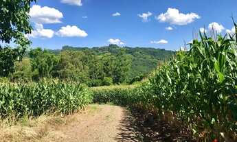 Imagem 2: Sítio / Chácara para Venda em Nova Petrópolis, Pinhal Alto, 3 dormitórios, 1 banheiro, 2 v