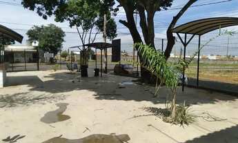 Imagem 5: Ponto à venda no bairro Jardim Califórnia em Uberlândia