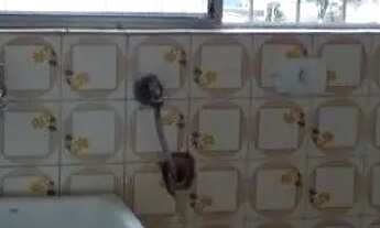 Imagem 7: APARTAMENTO RESIDENCIAL em SÃO PAULO - SP, VILA VERA