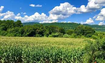 Imagem 5: Sítio / Chácara para Venda em Nova Petrópolis, Pinhal Alto, 3 dormitórios, 1 banheiro, 2 v