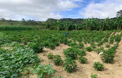 Imagem 5: Sítio com 3 quartos à venda, 280000 m² por R$ 300.000 - Zona Rural - Rio Pardo de Minas/MG