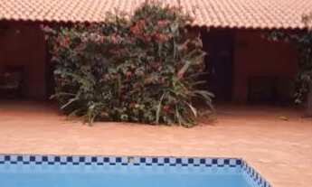 Imagem 2: ? VENDO CHÁCARA EM CATANDUVA - SP ?