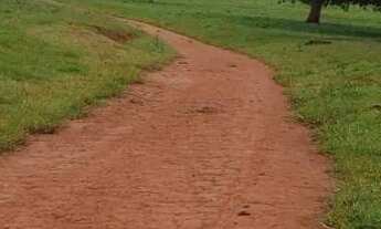 Imagem 6: Fazenda a venda em - Nova Aurora - Goiás