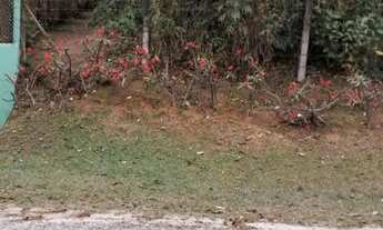 Imagem 6: VENDO 5000 M2 - 2 LOTES DE 2500 M2 - SAO ROQUE