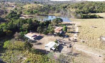 Imagem: Fazendinha de 60 hectares rica em água