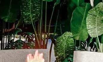 Imagem 3: Casas no condominío Oásis Residence com 2 quartos no bairro Village em Imbituba SC