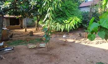 Imagem 5: CHÁCARA P/ NATAL E ANO NOVO