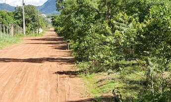 Imagem 7: Chácara 2.520 m² - 10 km de Palmas - Energia e Água - Oportunidade!