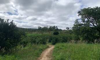 Imagem 2: Sítio com 3 quartos à venda, 280000 m² por R$ 300.000 - Zona Rural - Rio Pardo de Minas/MG