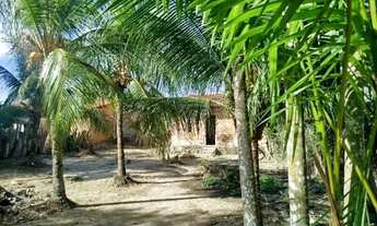 Imagem: Vende-se Casa com Amplo Terreno em Pindaré-Mirim/MA