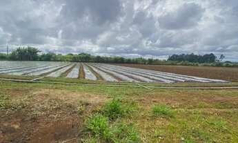 Imagem 6: Vendo Excelente Chácara 5,2 hectares, Radiobras, Brazlândia/DF