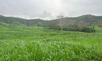 Imagem: área de terra de 247 alqueires com excelente