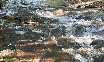 Imagem 5: Oportunidade única em Chapada dos Guimarães