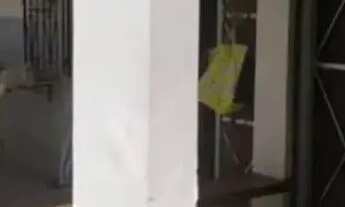 Imagem 6: Casa à venda em rua pública, CAIXA D'ÁGUA, Salvador, BA