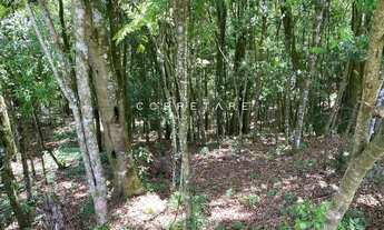 Imagem 6: Sítio à Venda com 60.500m² a 13 km do Parque Barigui Estrutura Completa!