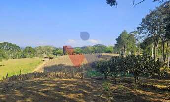 Imagem 2: Chácara 20.000 m em Mandirituba Casa, pomar, nascentes e açude