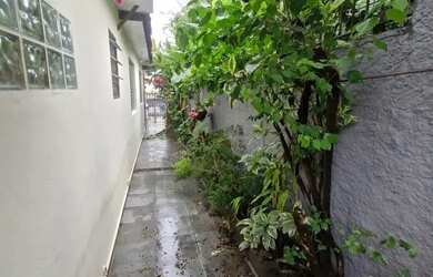 Imagem 3: Térrea para aluguel tem 120 metros quadrados com 2 quartos em Jardim Ivana - São Paulo - S