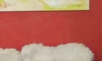 Imagem 6: 3D ensolarado e com vaga