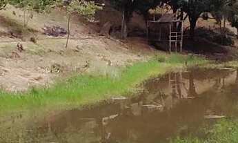 Imagem 5: Fazenda/Sítio/Chácara para venda com 192000 metros quadrados com 3 quartos