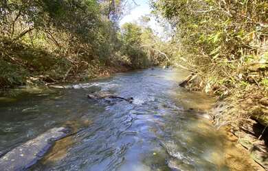 Imagem: Chácaras de 20mil mt com Rio passa quatro