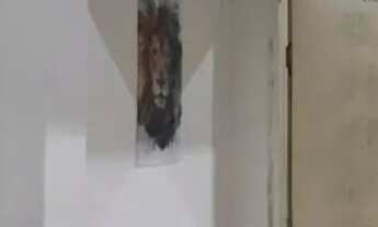 Imagem 6: Chácara a venda em socorro