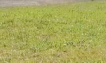 Imagem 2: Terreno à venda em Ibiúna, Ibiúna, Nascentes do Pururu