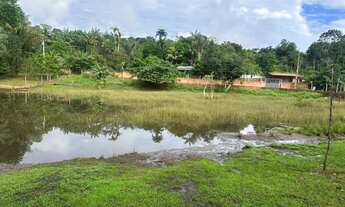 Imagem 2: Vendo sítio Chácara com venda por R$300.000