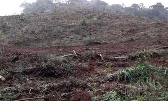 Imagem 3: Fazenda no PR Fazenda / sítio com venda por R$2.000.000