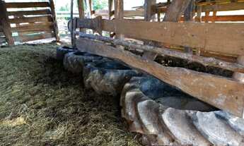 Imagem 7: AR2550) Chácara em Cândido Godói, RS