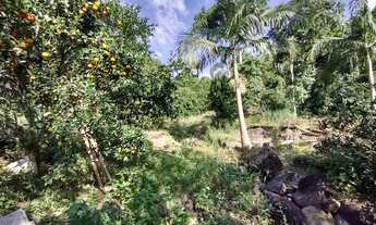 Imagem 5: Sítio com 42.500m² (4,25Hectare) - Casa e Piscina - São Marcos - Biguaçú/SC