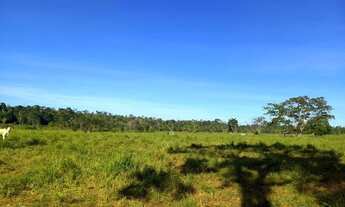 Imagem 2: Sítio 18 alqueires Vale do Paraíso