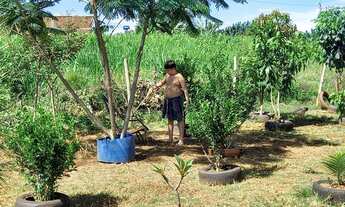 Imagem 4: Alugo chacara de 2000 metros