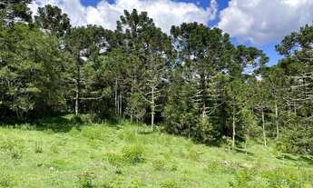 Imagem 7: Chácara em Urubici