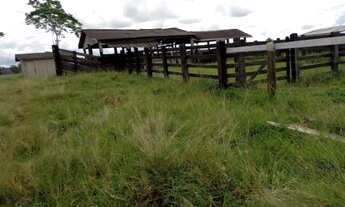 Imagem 2: Sitio 62 Alqueires Jaru