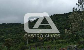 Imagem 5: Fazenda para Venda em São José dos Pinhais, Miringuava, 3 dormitórios, 1 suíte, 2 banheiro